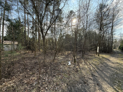 Działka budowlana1437m2RydzynkiulŻabiałódzkie - Rydzynki  -
Łódzkie Zdjęcie nr 12