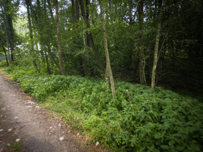 Działka budowlana1437m2RydzynkiulŻabiałódzkie - Rydzynki  -
Łódzkie Zdjęcie nr 13