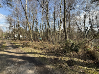 Działka budowlana1437m2RydzynkiulŻabiałódzkie - Rydzynki  -
Łódzkie Zdjęcie nr 3