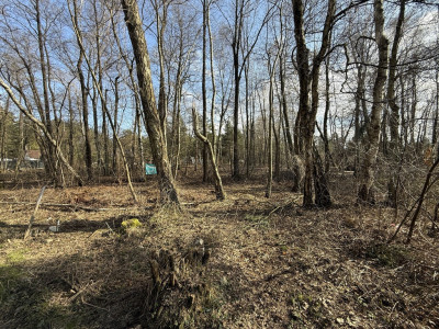 Działka budowlana1437m2RydzynkiulŻabiałódzkie - Rydzynki  -
Łódzkie Zdjęcie nr 4