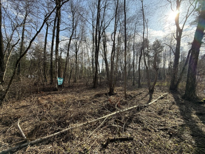 Działka budowlana1437m2RydzynkiulŻabiałódzkie - Rydzynki  -
Łódzkie Zdjęcie nr 6