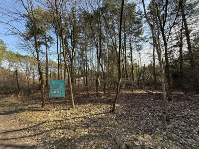 Działka budowlana1437m2RydzynkiulŻabiałódzkie - Rydzynki  -
Łódzkie Zdjęcie nr 8