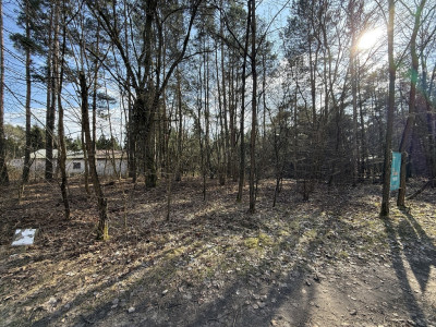 Działka budowlana1437m2RydzynkiulŻabiałódzkie - Rydzynki  -
Łódzkie Zdjęcie nr 9