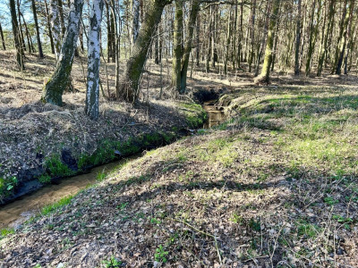 Prywatna oaza pod lasem - Solec Kujawski  -
Kujawsko-Pomorskie Zdjęcie nr 8