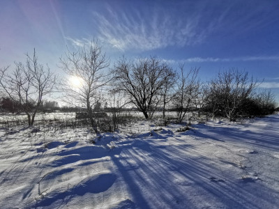 Działka budowlana 13 ar  Głuchów blisko Łańcuta - Głuchów  -
Podkarpackie Zdjęcie nr 4