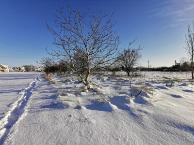 Działka budowlana 13 ar  Głuchów blisko Łańcuta - Głuchów  -
Podkarpackie Zdjęcie nr 5