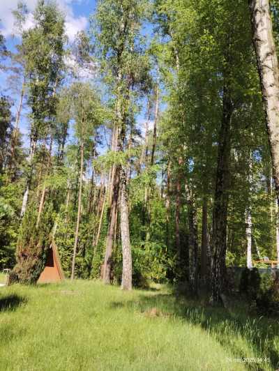 Działka budowlana 1517m2 Zofiówka ul Cienista - Zofiówka  -
Łódzkie Zdjęcie nr 14