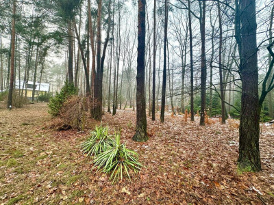 Działka budowlana 1364m2 Zofiówka  ul Cienista - Zofiówka  -
Łódzkie Zdjęcie nr 3