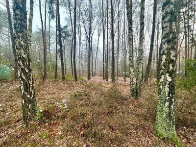 Działka budowlana 1364m2 Zofiówka  ul Cienista - Zofiówka  -
Łódzkie Zdjęcie nr 5