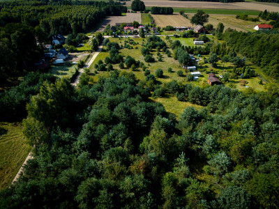 Pelagia Wita - Pelagia  - Łódzkie