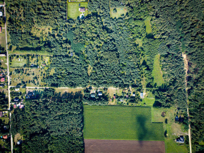 Pelagia Wita - Pelagia  -
Łódzkie Zdjęcie nr 2