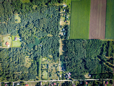 Pelagia Wita - Pelagia  -
Łódzkie Zdjęcie nr 3