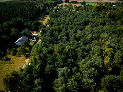 Pelagia Wita - Pelagia  -
Łódzkie Zdjęcie nr 4