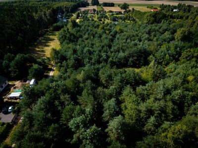 Pelagia Wita - Pelagia  -
Łódzkie Zdjęcie nr 5