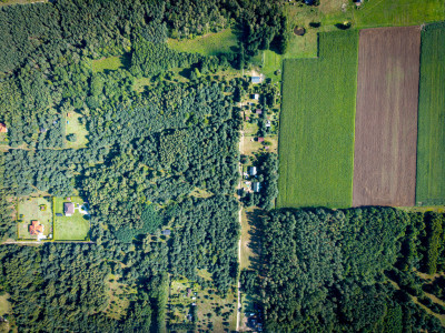 Pelagia Wita - Pelagia  -
Łódzkie Zdjęcie nr 6