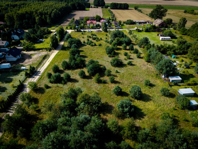 Pelagia Wita - Pelagia  -
Łódzkie Zdjęcie nr 7