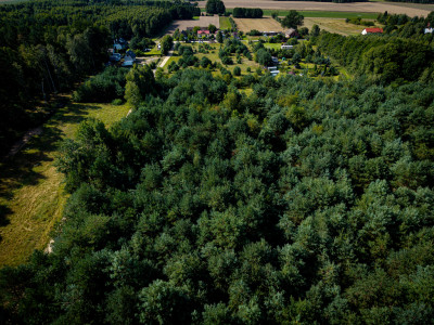 Pelagia Wita - Pelagia  -
Łódzkie Zdjęcie nr 8