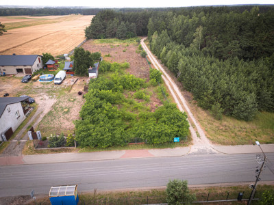 Działka siedliskowa 3808m2Borowo I gm Koluszki - Borowa  -
Łódzkie Zdjęcie nr 9