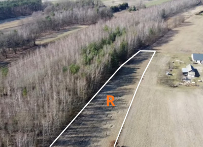 139ha 56a pod budowę własny las pomoc z KOWR - Kolonia Góra Puławska  -
Lubelskie Zdjęcie nr 2