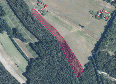 139ha 56a pod budowę własny las pomoc z KOWR - Kolonia Góra Puławska  -
Lubelskie Zdjęcie nr 3