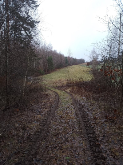 139ha 56a pod budowę własny las pomoc z KOWR - Kolonia Góra Puławska  -
Lubelskie Zdjęcie nr 5