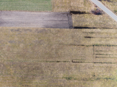 Działka - po więcej informacji zadzwoń - Sanie  -
Łódzkie Zdjęcie nr 11