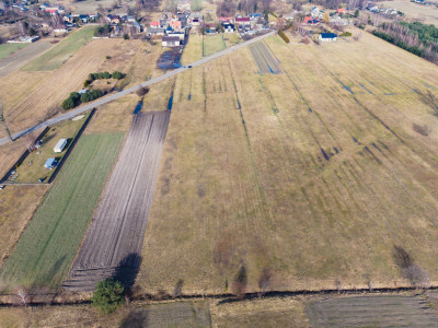 Działka - po więcej informacji zadzwoń - Sanie  -
Łódzkie Zdjęcie nr 6