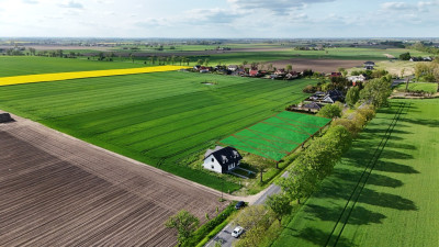 Klony działki przy lesie z warunkami zabudowy - Klony  -
Wielkopolskie Zdjęcie nr 7