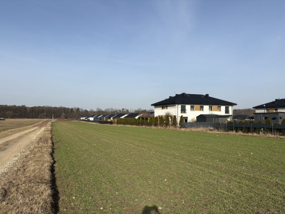 Tu na razie jest ściernisko ale będzie twój dom - Raków  -
Łódzkie Zdjęcie nr 11