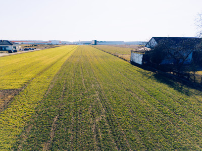 Miejsce na twój nowy dom - Raków  -
Łódzkie Zdjęcie nr 2