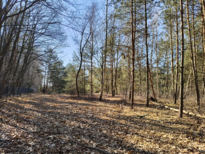 Twój przyszły dom w Zielonych Płucach Łodzi - Sokolniki-Las  - Łódzkie