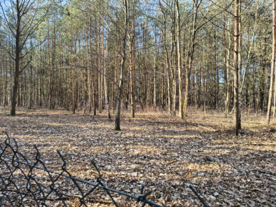 Twój przyszły dom w Zielonych Płucach Łodzi - Sokolniki-Las  -
Łódzkie Zdjęcie nr 2