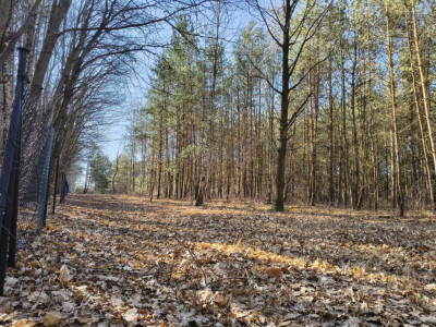 Sokolniki-Las 2442m2 przestrzeni na rezydencję - Sokolniki-Las  -
Łódzkie Zdjęcie nr 2
