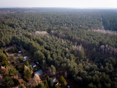 Sokolniki-Las 2442m2 przestrzeni na rezydencję - Sokolniki-Las  -
Łódzkie Zdjęcie nr 4