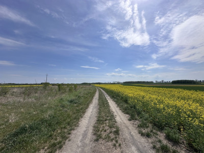 Promocja Bożnów  działki budowlane z WZ - Bożnów  -
Lubuskie Zdjęcie nr 7