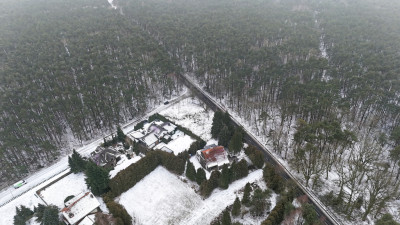 1233 m spokoju Las za płotem w Puszczykowie - Puszczykowo  -
Wielkopolskie Zdjęcie nr 11