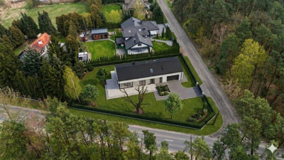 1233 m spokoju Las za płotem w Puszczykowie - Puszczykowo  -
Wielkopolskie Zdjęcie nr 3