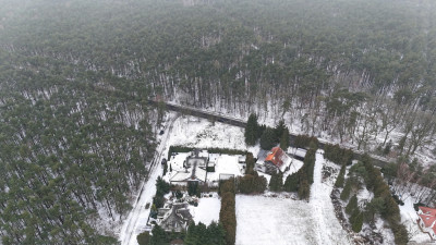 1233 m spokoju Las za płotem w Puszczykowie - Puszczykowo  -
Wielkopolskie Zdjęcie nr 6