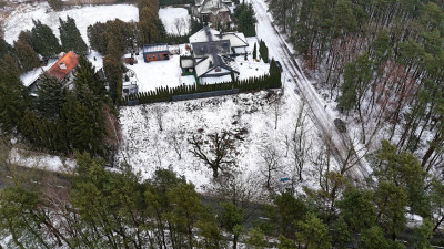 1233 m spokoju Las za płotem w Puszczykowie - Puszczykowo  -
Wielkopolskie Zdjęcie nr 7