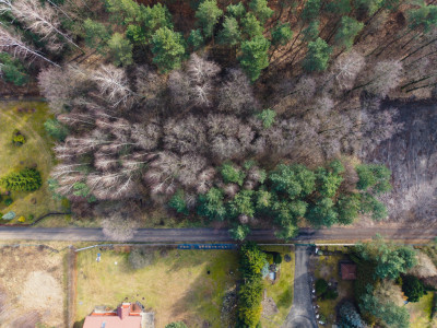 Iwona Pavlović by dała 1010 - Zagłoba  -
Łódzkie Zdjęcie nr 11