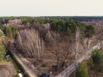 Iwona Pavlović by dała 1010 - Zagłoba  - Łódzkie