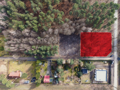 Iwona Pavlović by dała 1010 - Zagłoba  -
Łódzkie Zdjęcie nr 3