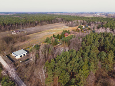 Iwona Pavlović by dała 1010 - Zagłoba  -
Łódzkie Zdjęcie nr 4