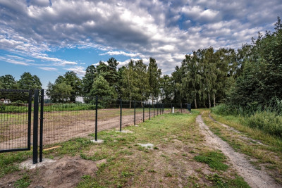 Prestiżowa działka nad jeziorem - Wieleń  -
Wielkopolskie Zdjęcie nr 10