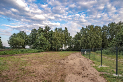 Prestiżowa działka nad jeziorem - Wieleń  -
Wielkopolskie Zdjęcie nr 11