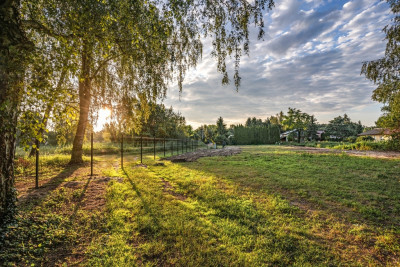 Prestiżowa działka nad jeziorem - Wieleń  -
Wielkopolskie Zdjęcie nr 12