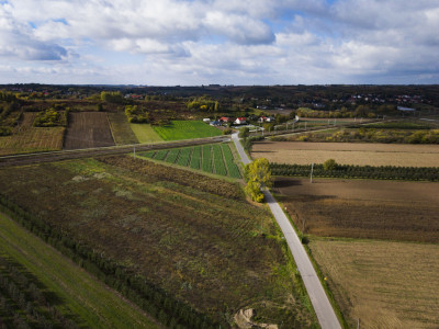 Rolniku Działka z warunkami zabudowy-Mściów - Mściów  -
Świętokrzyskie Zdjęcie nr 10