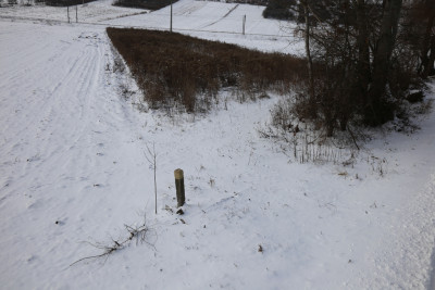 Rolniku Działka z warunkami zabudowy-Mściów - Mściów  -
Świętokrzyskie Zdjęcie nr 4
