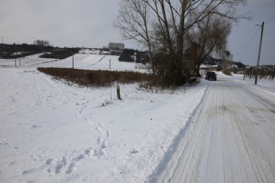 Rolniku Działka z warunkami zabudowy-Mściów - Mściów  -
Świętokrzyskie Zdjęcie nr 6