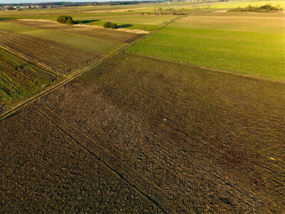 4 Działki budowlane pod Dobrodzieniem Niska cena - Dobrodzień  -
Opolskie Zdjęcie nr 3